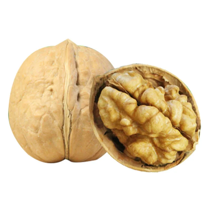 Original Raw in Paper Shell Fresh Chinese walnut