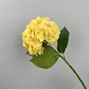 Yellow 182 film hydrangea