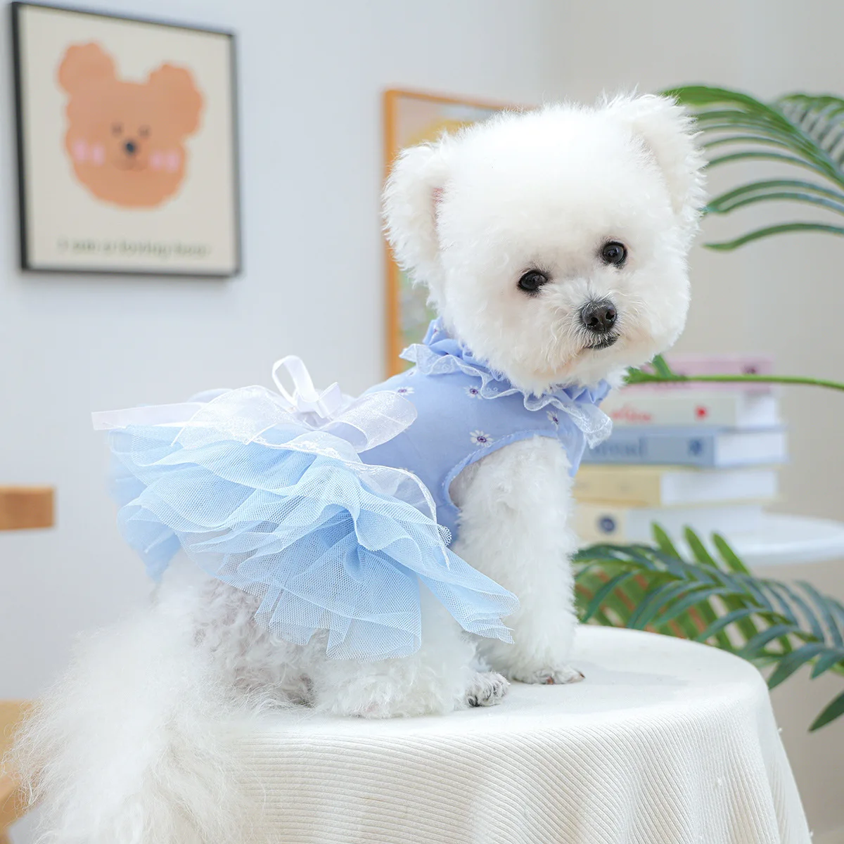 pet holiday dress Parisian Pet main image 0