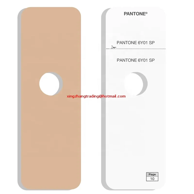 PANTONE パントン 色見本 STG201 SkinTone Guide PANTONE パントーン