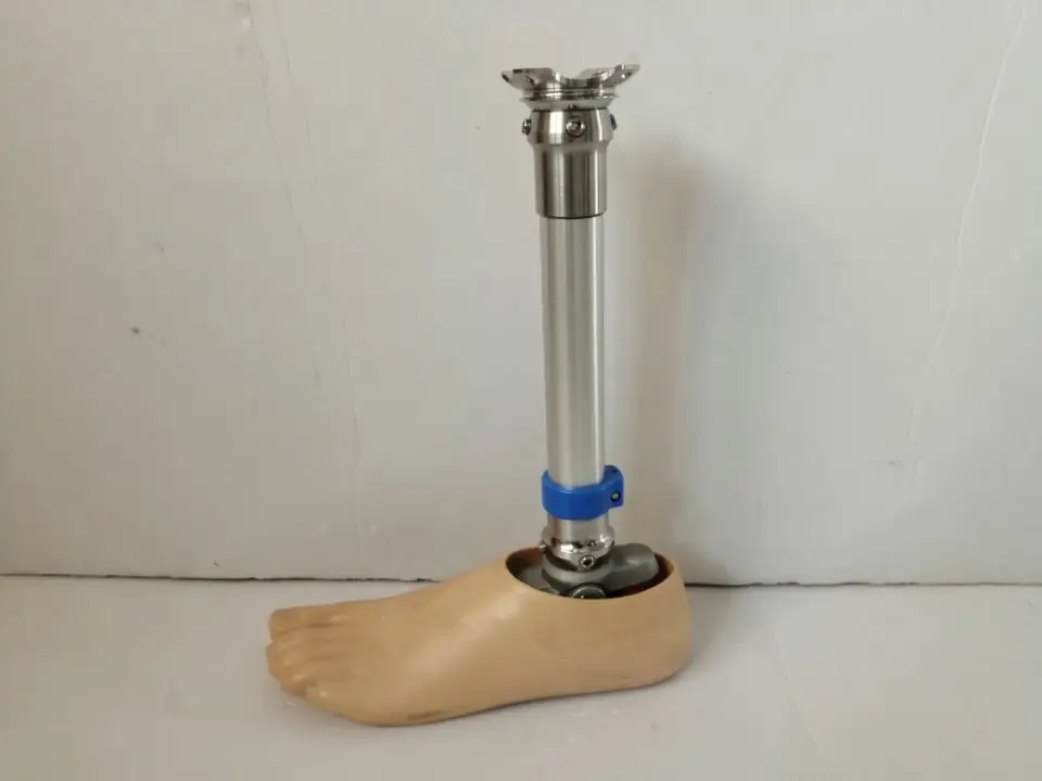 Prosthetic Lower Legs Made of Stainless Steel, Polyurethane, Aluminum, and Titanium Are Used for Amputees Below the Knee Joint