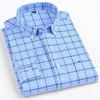 Plaid 19