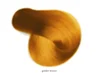 Golden Brown 17