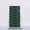 Glossy feathers