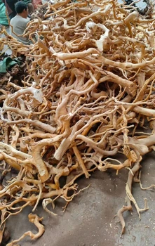 水族館の水槽の木の切り株スレートロックドリフトウッドと装飾的な流木