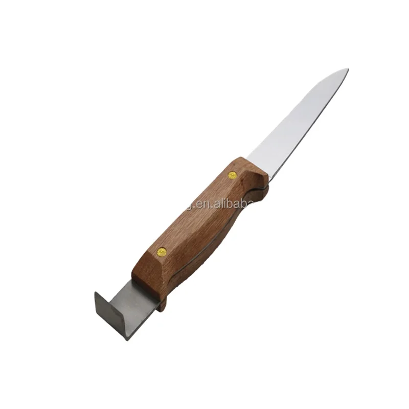 CHINABEES Beekeeping Blade Knife Extractor Scraping Honey Knife Scraping Tools Cut Honey Beekeeping Tools Apiary