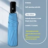 8K Automatic Umbrella(Blue)