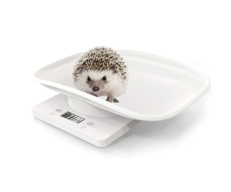 Digital Pet Weighing Scale, Non-slip Plastic Digital Pet Weight
