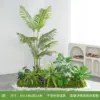 Aménagement paysager de plantes vertes de palmier areca de type I