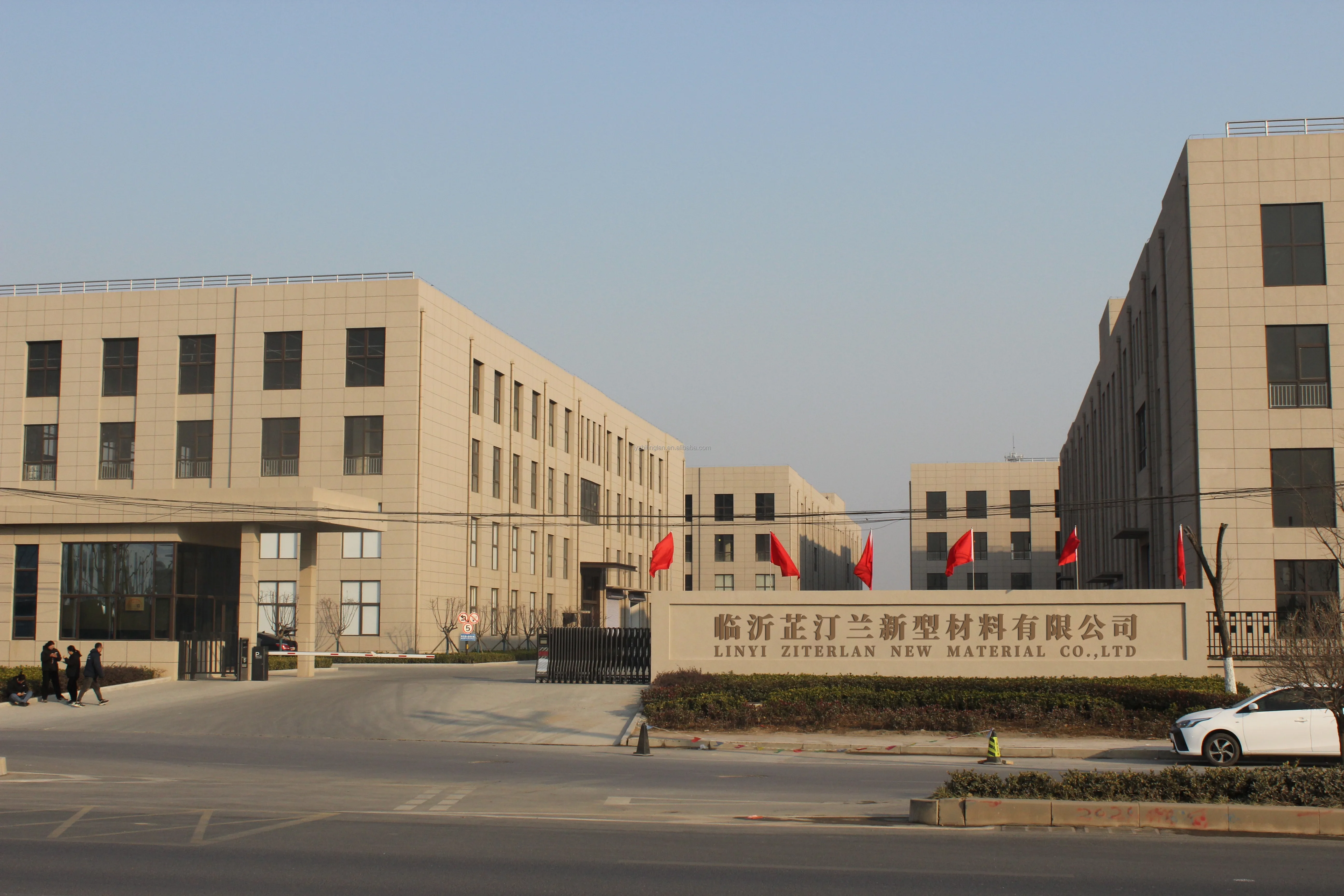 Wholesale Modern Style 8mm WPC Wood Veneer Panels