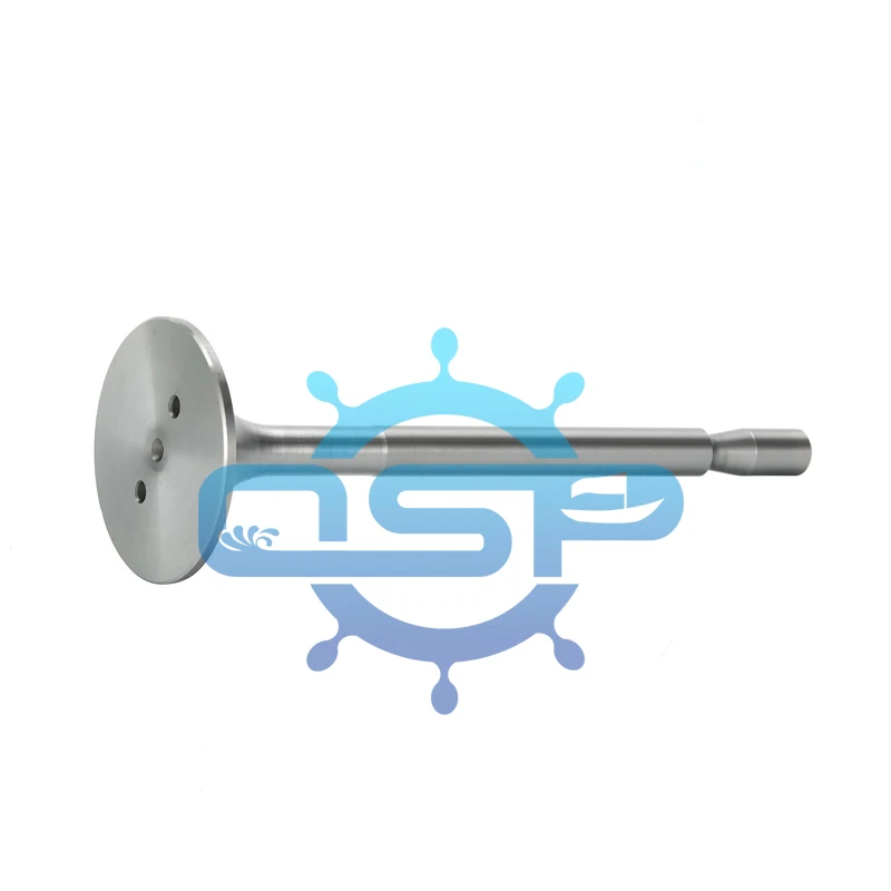 ODM Запчасти для дизельного двигателя судовые клапаны SKL NVD26 впускной клапан Exhasut