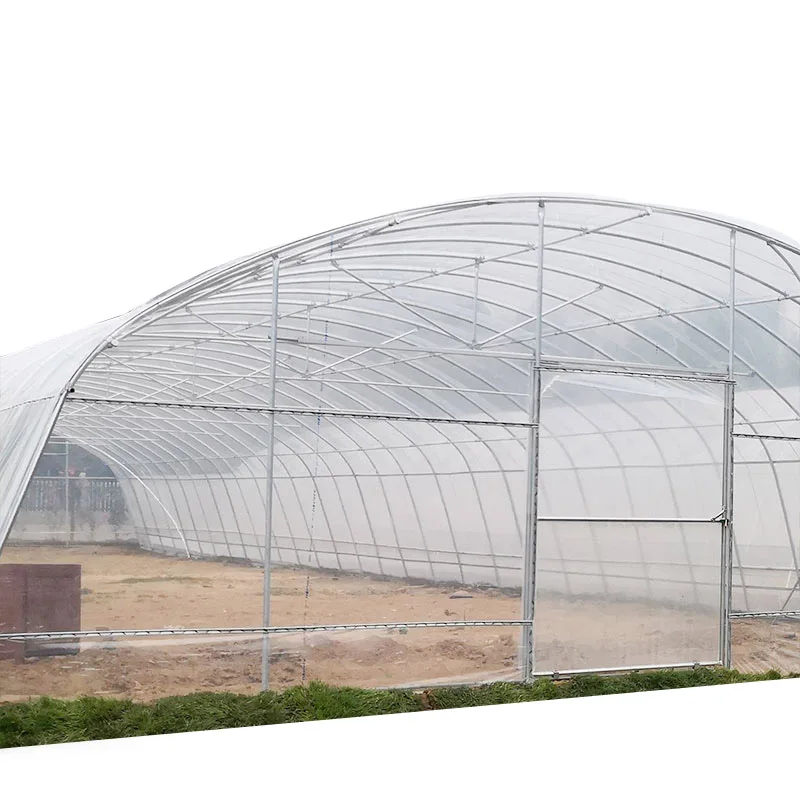 Banpo Small Greenhouse Metal Skeleton for Vegetable Cultivation for Home Gardening