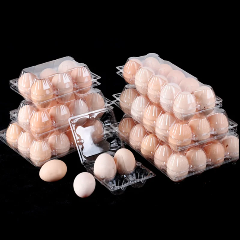 30 Pack Pet Plastic Clear Duck Goose Quail Egg Tray Molds Egg Chicken