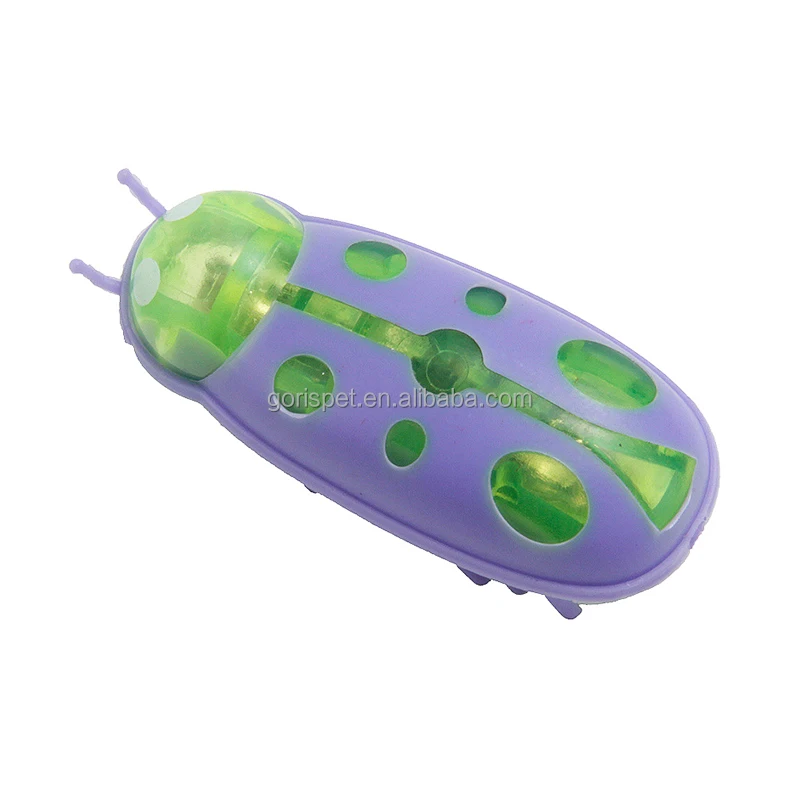 Purple.jpg