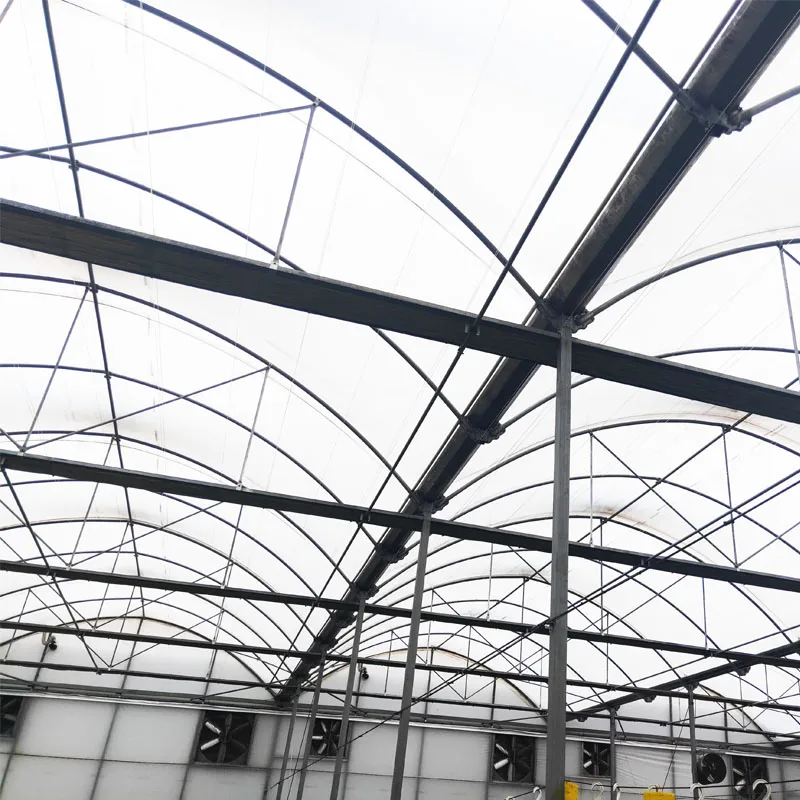 尖顶屋顶玻璃温室9.6米宽度用于幼苗