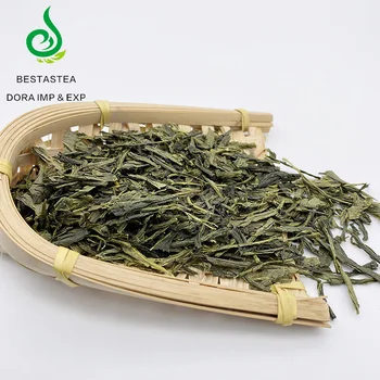 Free sample quick shipment time China Organic Sencha green tea
