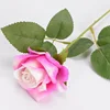 Velvet Rose [Deep Peach Pink]