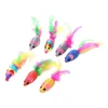 multicolore
