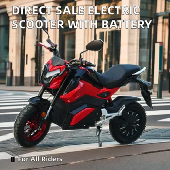 Direct Sale from Factory 60v/72v Removable Battery Adult Electric Motorcycle/Scooter/Moped Unisex Smart Electronic Vehicle