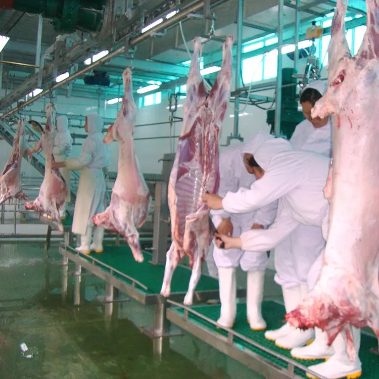 Halal mutton slaughtering equipment with cold storage room, suitable for mutton slaughtering line