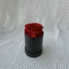 Rosa roja número 1