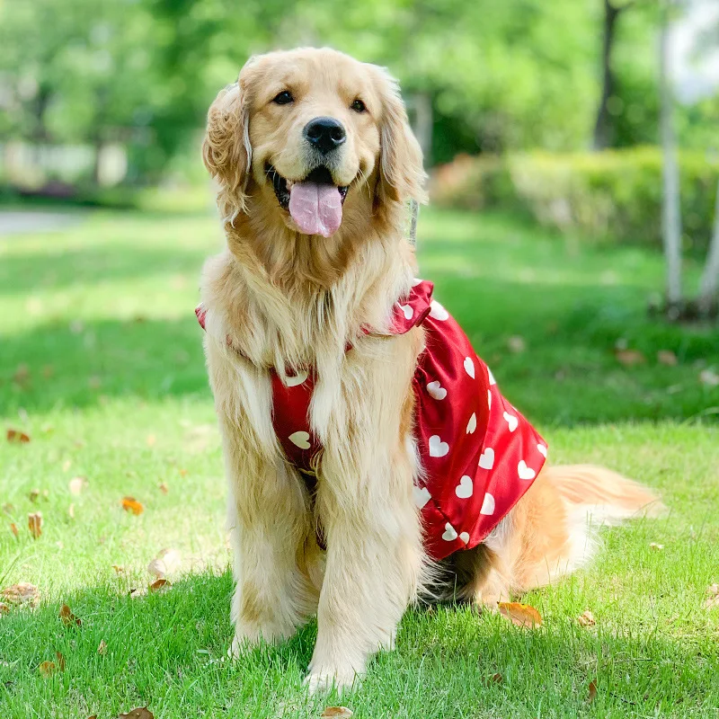 slim fit dress slacks Yellow Mirror Frock Dog Wedding Dress– Designer Bridal Outfit For Pets XXL main image 0