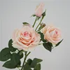 Ibisco a 3 teste rosa pesca