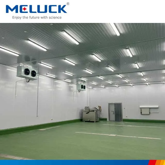 Easy Assembly Modular Cold Room for Meat Fruits Vegetables Supermarket Manufacturing Plant 100mm Panel Thickness Cold Room