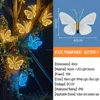 Transparent Warm Light-Static-40cm-Low Voltage 12V