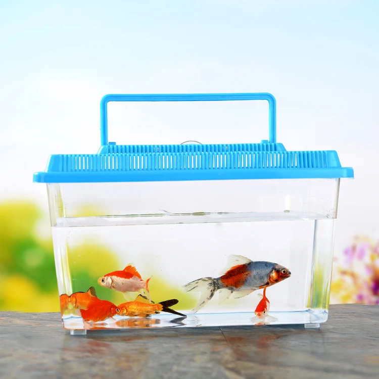 Transparent Plastic Aquariums Perfect for Goldfish Turtles