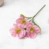 Tallo único rosa melocotón