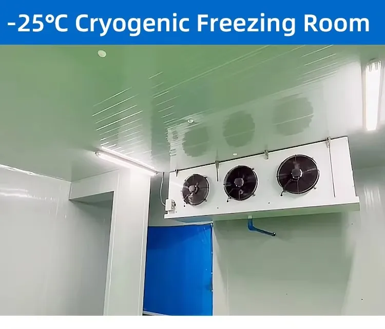Freezing Equipment - detail 4