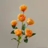 สีส้ม