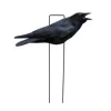 Black Upright Fully Flocked Crow