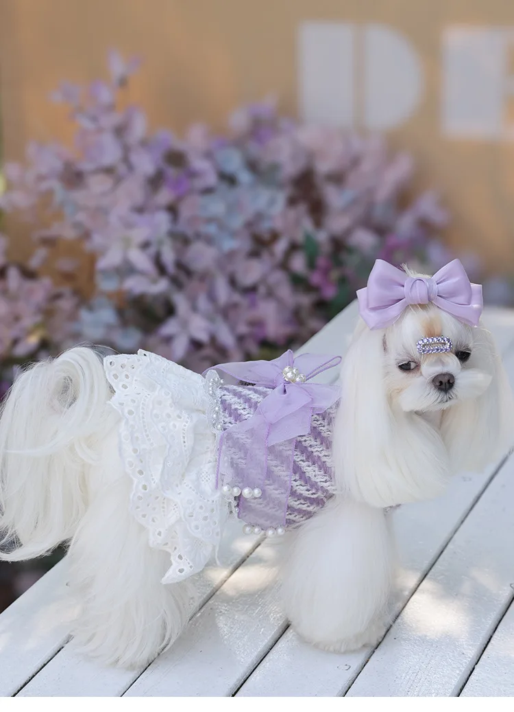 Autumn Winter New Puppy Clothes Small Dog Cute Princess Dress With Wool Thickening Lace