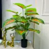 Corazón rojo Rocío Alocasia Verde