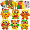 Owl 24pcs
