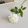 Creamy white