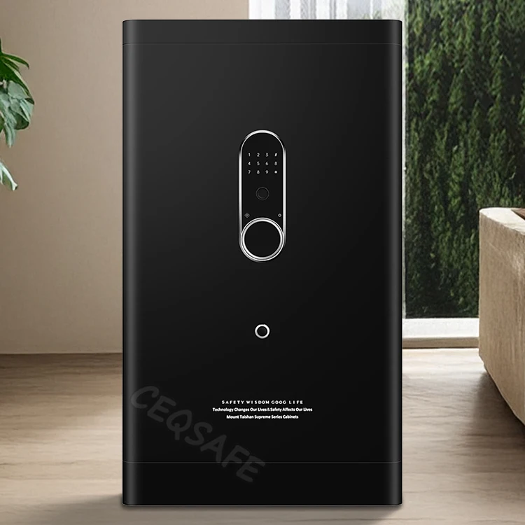 CEQSAFE Fingerprint Password Safe with Comprehensive Screen Protector Small WIFI Remote Anti-Theft Features supplier