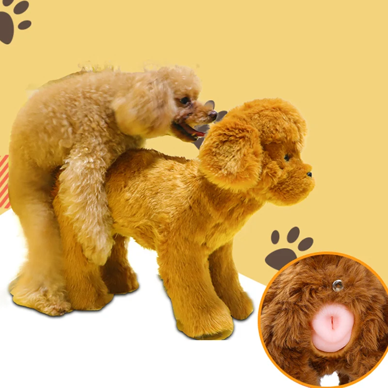 Dog Sex Toys Fun and Sustainable Pet Pleasure Solutions 