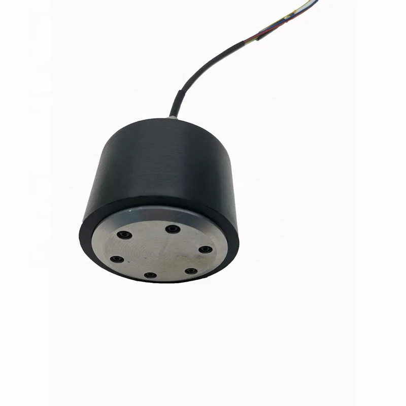 Waterproof and Shockproof 36V High Quality and Favorable Price Electric Wheel Hub Motor