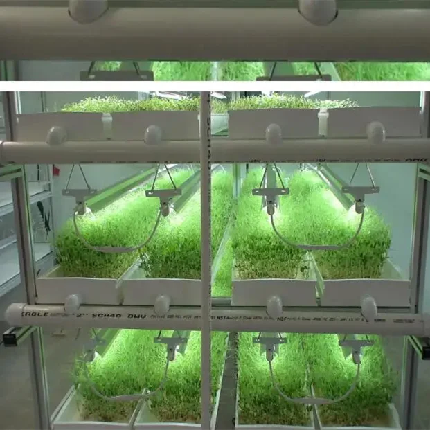 fodder system