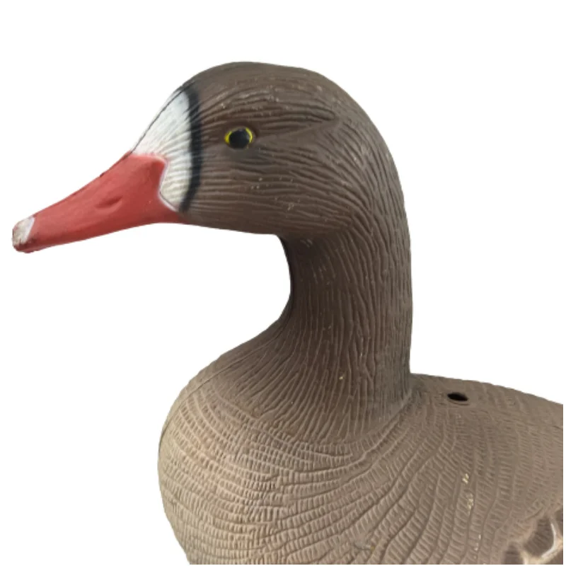 Half Floating White Full Body Foam Shell Ture Blow Mold Electric Motion