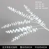 White five-pronged eucalyptus branch