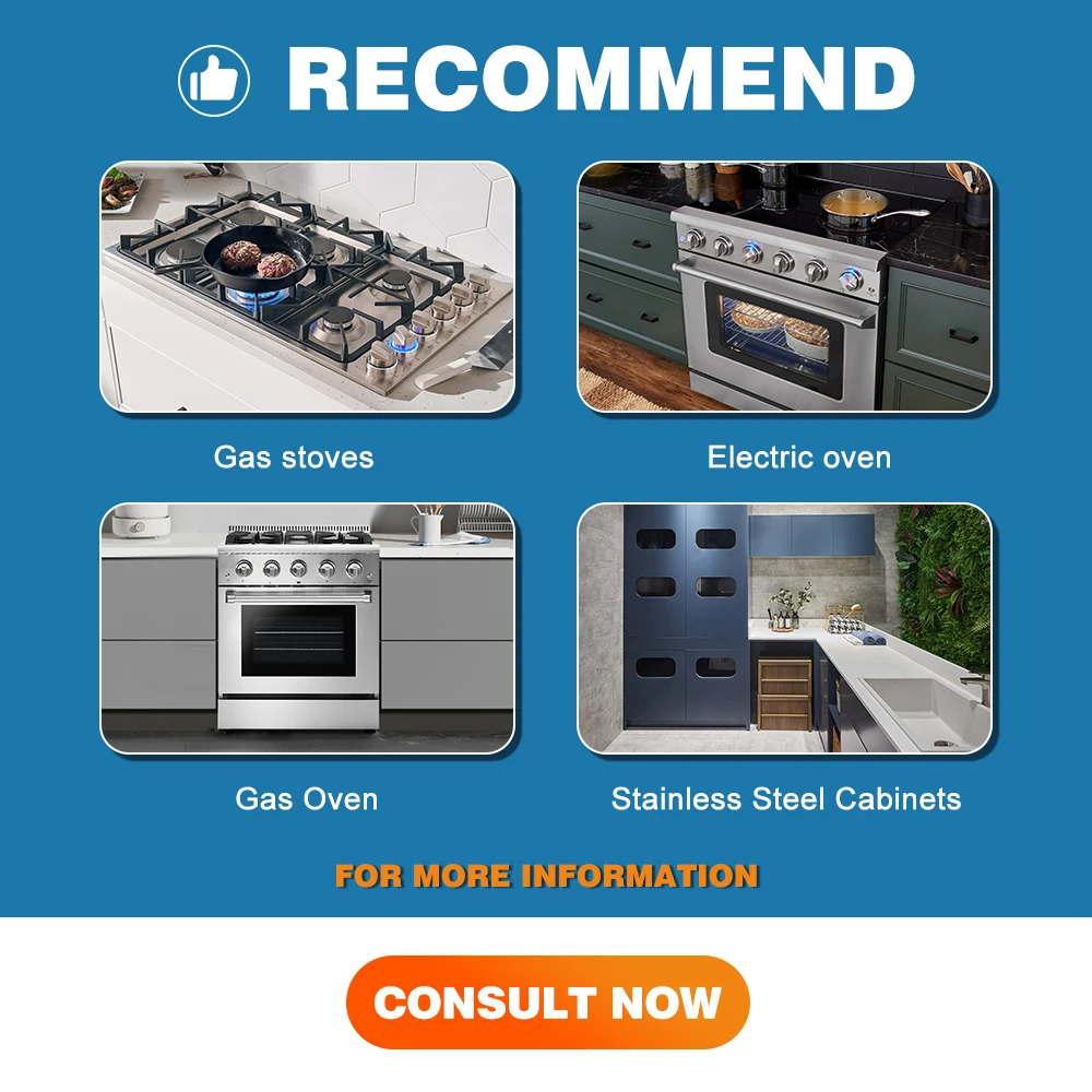 Hyxion Electric High-end Intelligent Electric Table Top Wall Oven