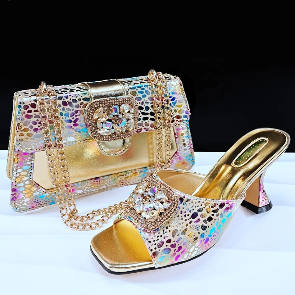 Hot Sale Women Shoes and Bag Set Low Heels Shoes and Clutch Sets for Party