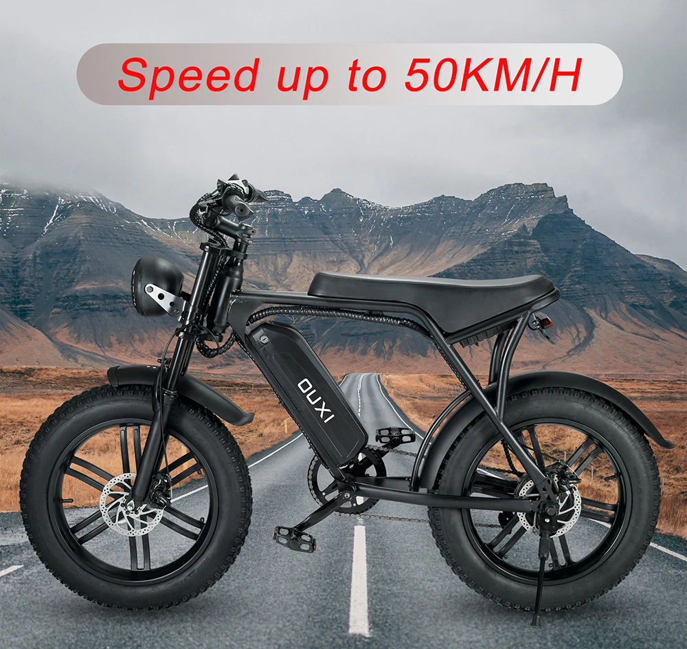 fatbike 750w