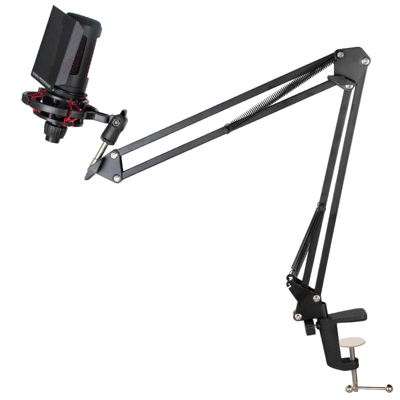 AT2020 48V XLR Mic - Professional Recording Studio Equipment