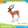 PL127-601 Antelope 49g