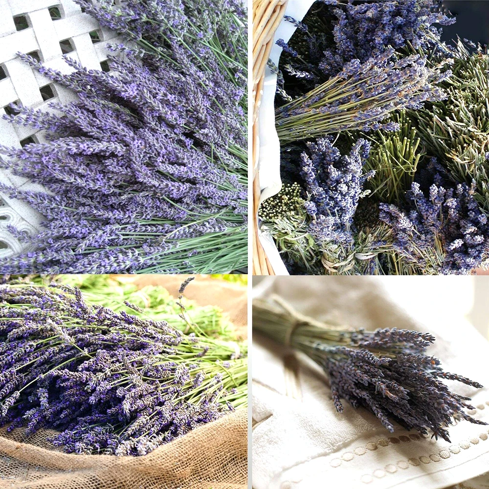 11 Ways to Decorate with Lavender Flowers